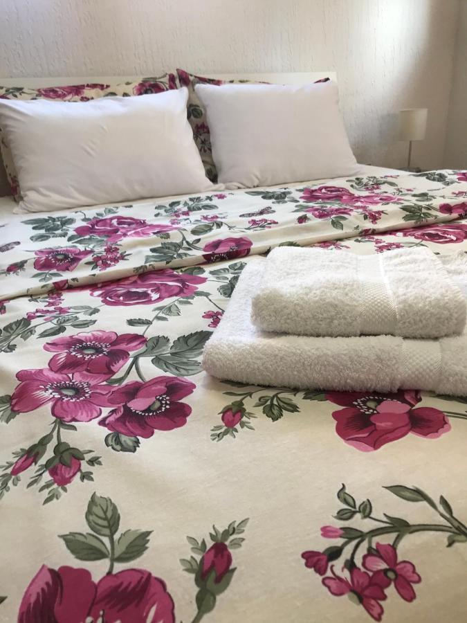 Apartman Studio Milojkovic Golubac Eksteriør bilde