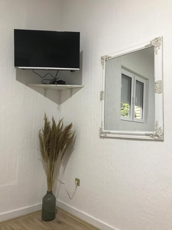 Apartman Studio Milojkovic Golubac Eksteriør bilde