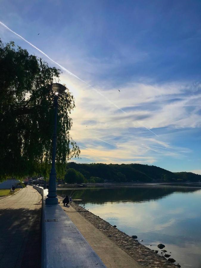 Apartman Studio Milojkovic Golubac Eksteriør bilde